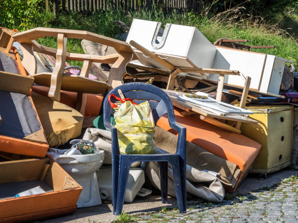 Best Trash Removal Near Me  in South Holland, IL