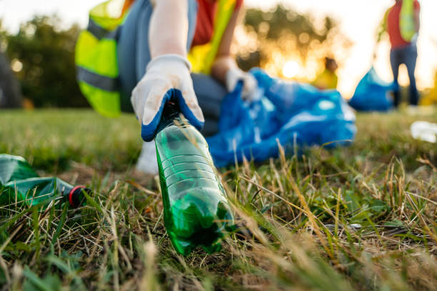 Best Estate Cleanout Services  in South Holland, IL